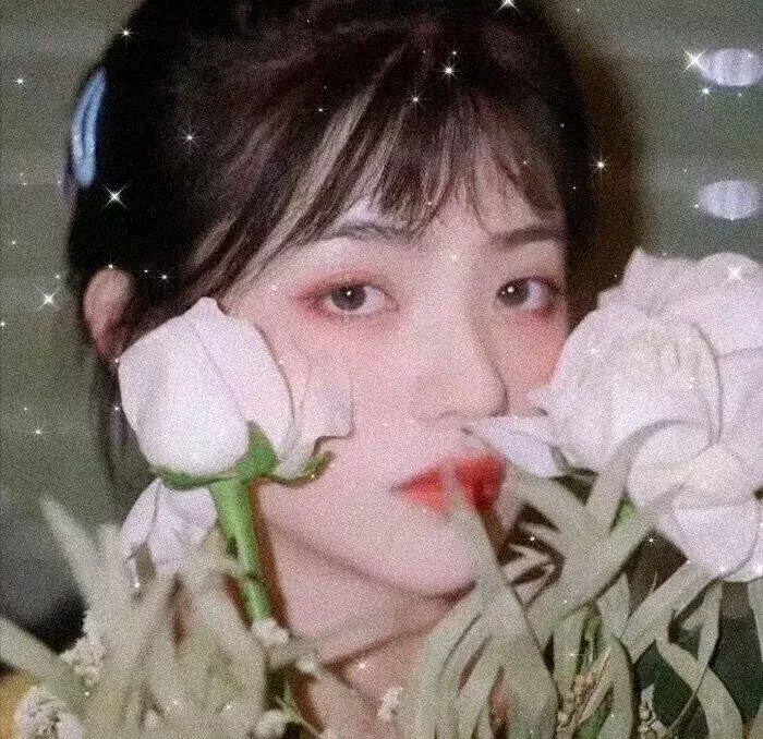三人一宝