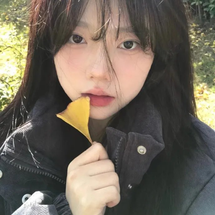 浪漫暴风圈